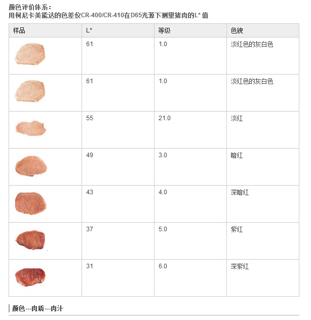 生肉色差評價方案